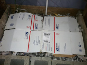 worms covered by cardboard