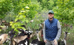 Photo courtesy of Modern Farmer