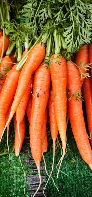 Vertical photo of a bunch of orange carrots at the local farmer's market.