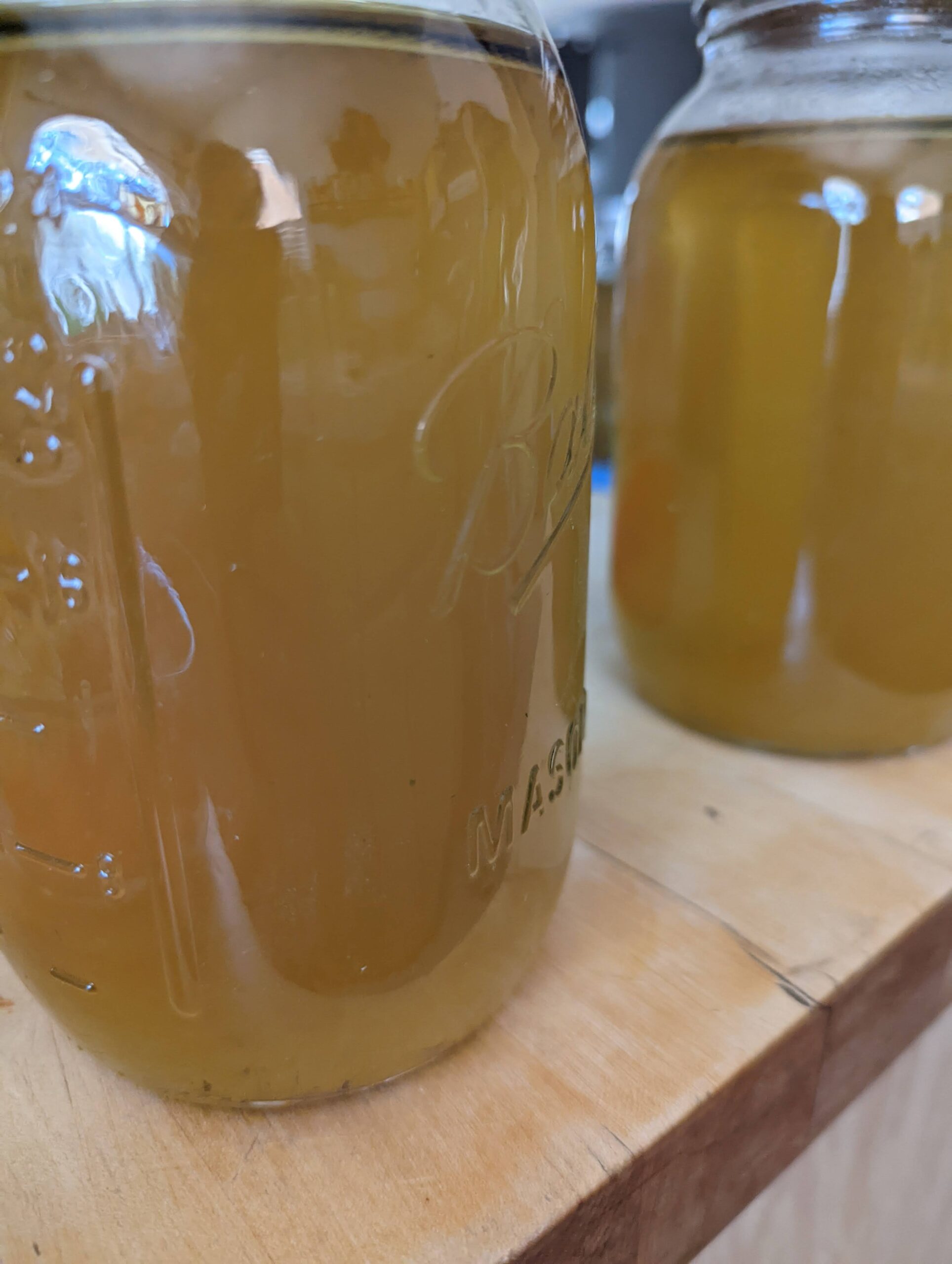 Instant Pot Bone Broth